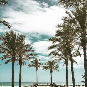 Meet your Posher, Kaymin